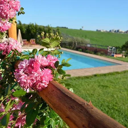 Tenuta Saracone Montalto di Castro