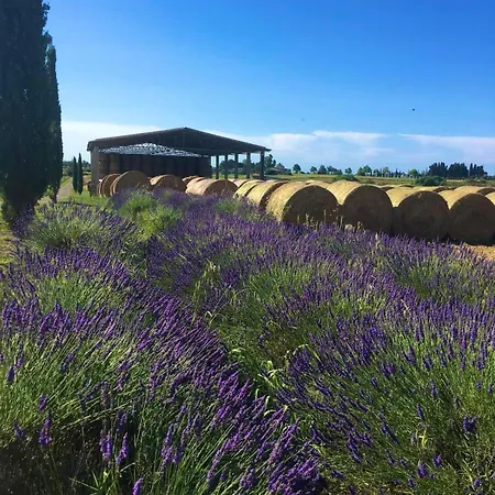 Tenuta Saracone *